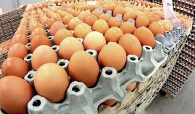 Producenci jaj chcą przywrócenia formaldehydu