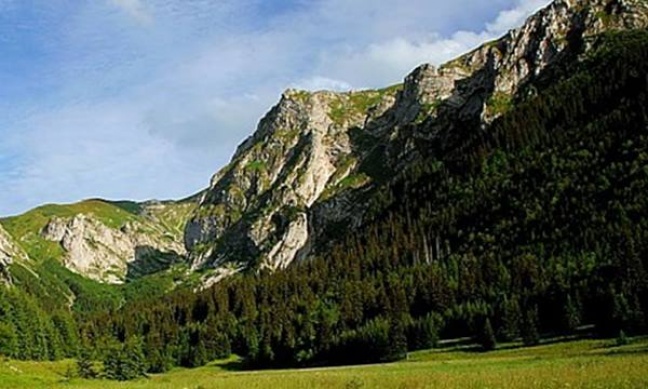 Grzybiarz znalazł ludzkie szczątki w Tatrach