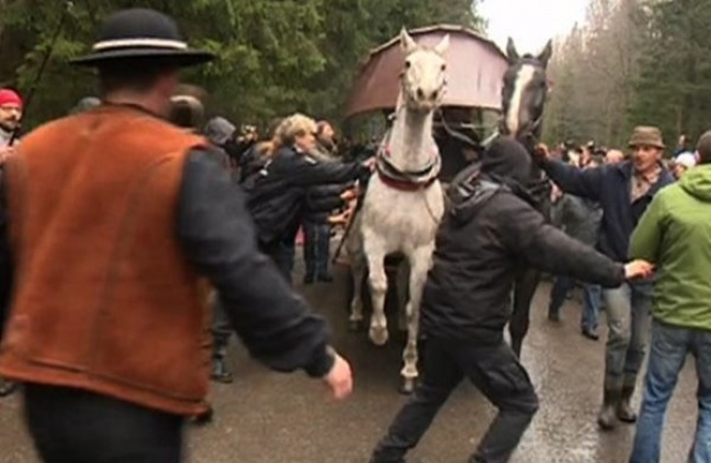 Obrońcy praw zwierząt kontra górale - bójka pod Tatrami!