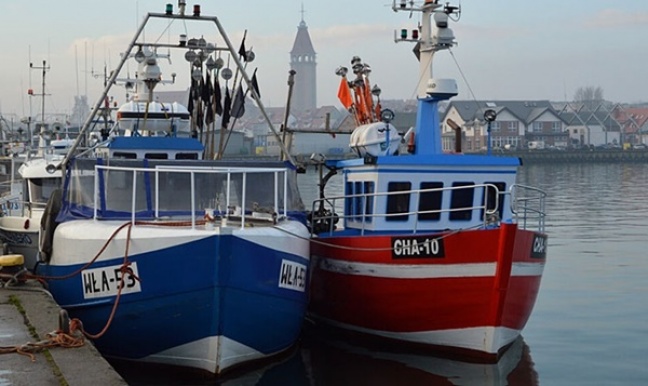 Rybacy nie mają co łowić w Bałtyku