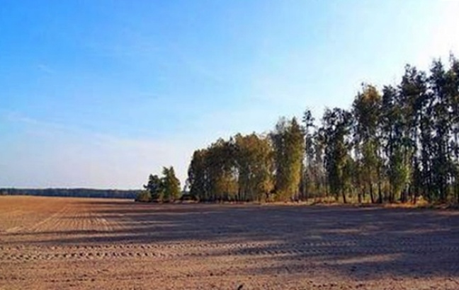 Polskie grunty coraz droższe