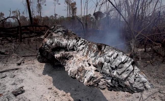 Setki nowych ognisk pożarów w Amazonii.