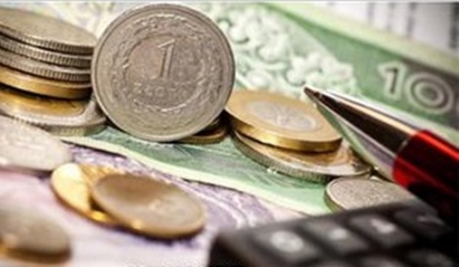 W drugiej połowie roku może dojść do osłabienia złotego