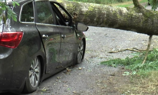 Przewrócone przez wiatr drzewo runęło na samochód