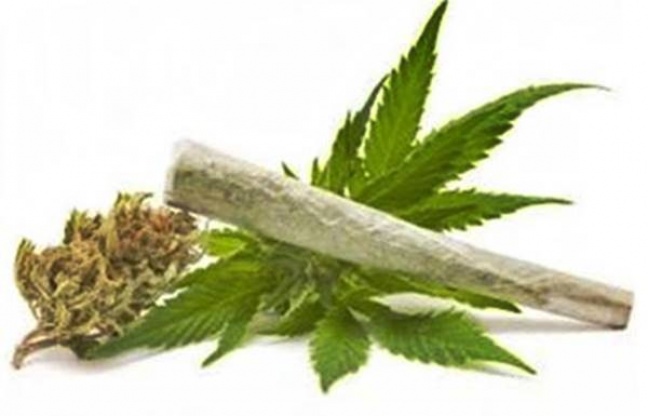 Umorzono śledztwo w sprawie nauczycielki i posiadania narkotyków?