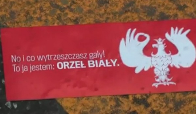 Sponiewierany wizerunek orła