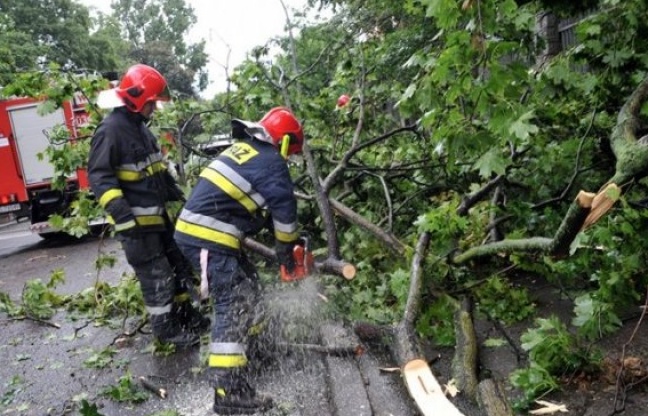 10-letni chłopiec zadbał o bezpieczeństwo innych dzieci