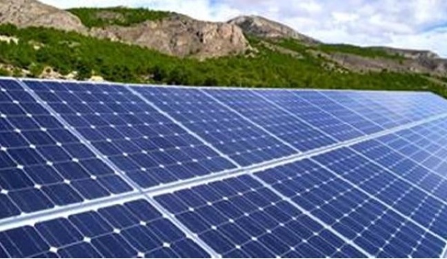 Polacy coraz częściej inwestują w zieloną energię