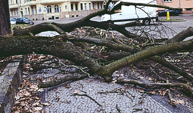W nocy nad Polską przeszły potężne wichury