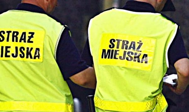 Grabarz chciał zakopać żywcem strażników miejskich