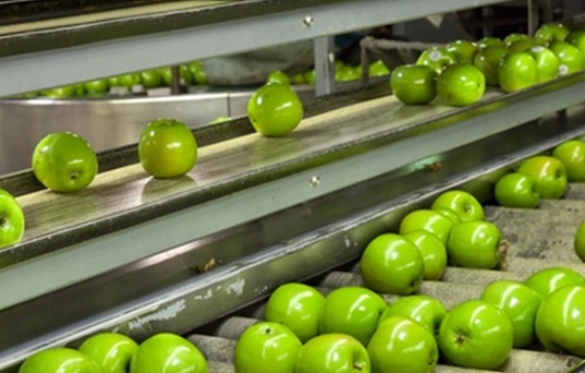 Polskie nowatorskie sortownie trafią do Europu i Ameryki