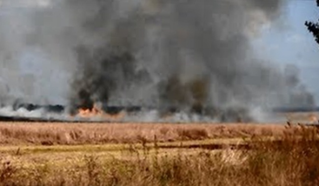 Pożar pól ze zbożem w Wielkopolsce