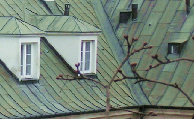 Kolejno rozkradał dach wynajmowanego mieszkania