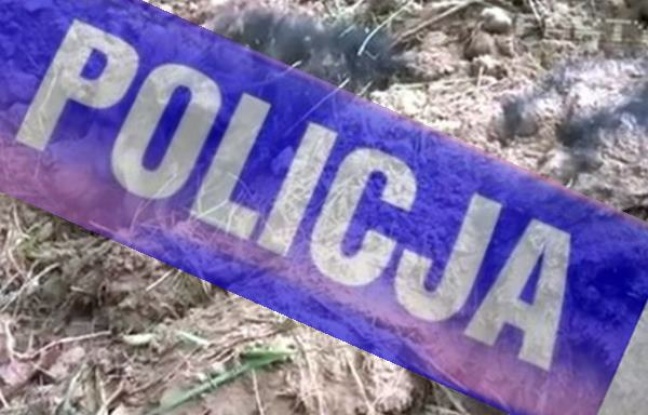  Zakopał żywcem własnego psa