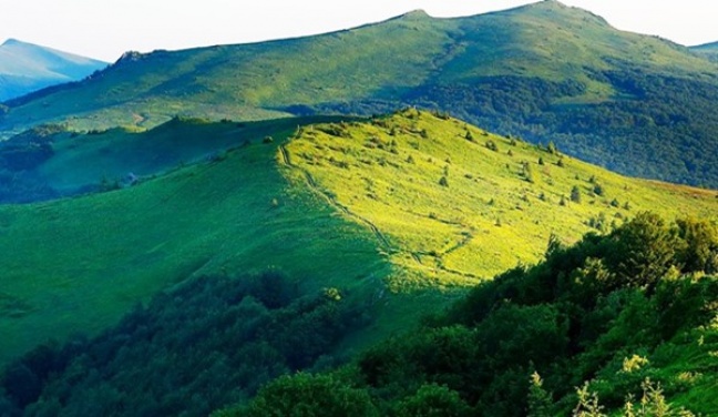 Jedziemy w Bieszczady!