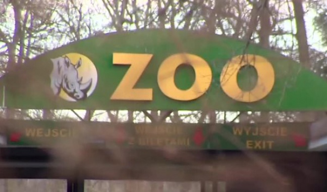 Istny absurd, służby wtargnęły do Zoo w Poznaniu