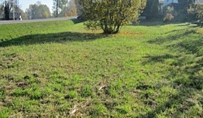 Rolnicy biorą kredyty na kupno ziemi