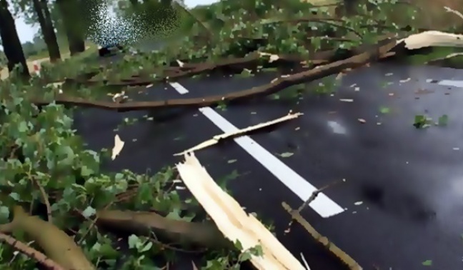 Nawałnice nad Polską.  Powalone drzewa, oraz brak prądu